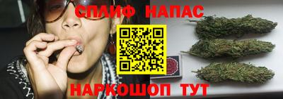 apvp Дубна