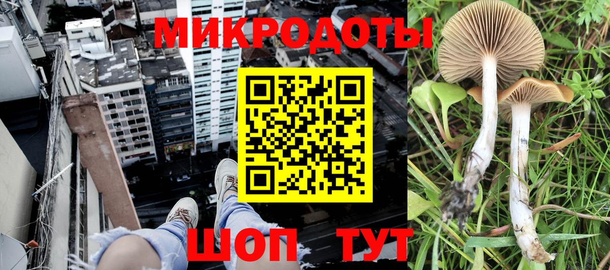 Галлюциногенные грибы мухоморы Лабинск