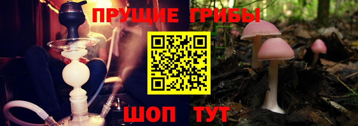 Лабинск  Галлюциногенные грибы мицелий  Псилоцибиновые грибы Cubensis  Вход с VPN 